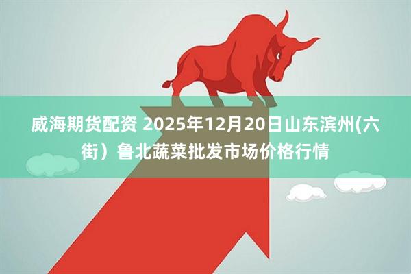 威海期货配资 2025年12月20日山东滨州(六街）鲁北蔬菜批发市场价格行情